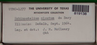 Image Associated With the Occurence